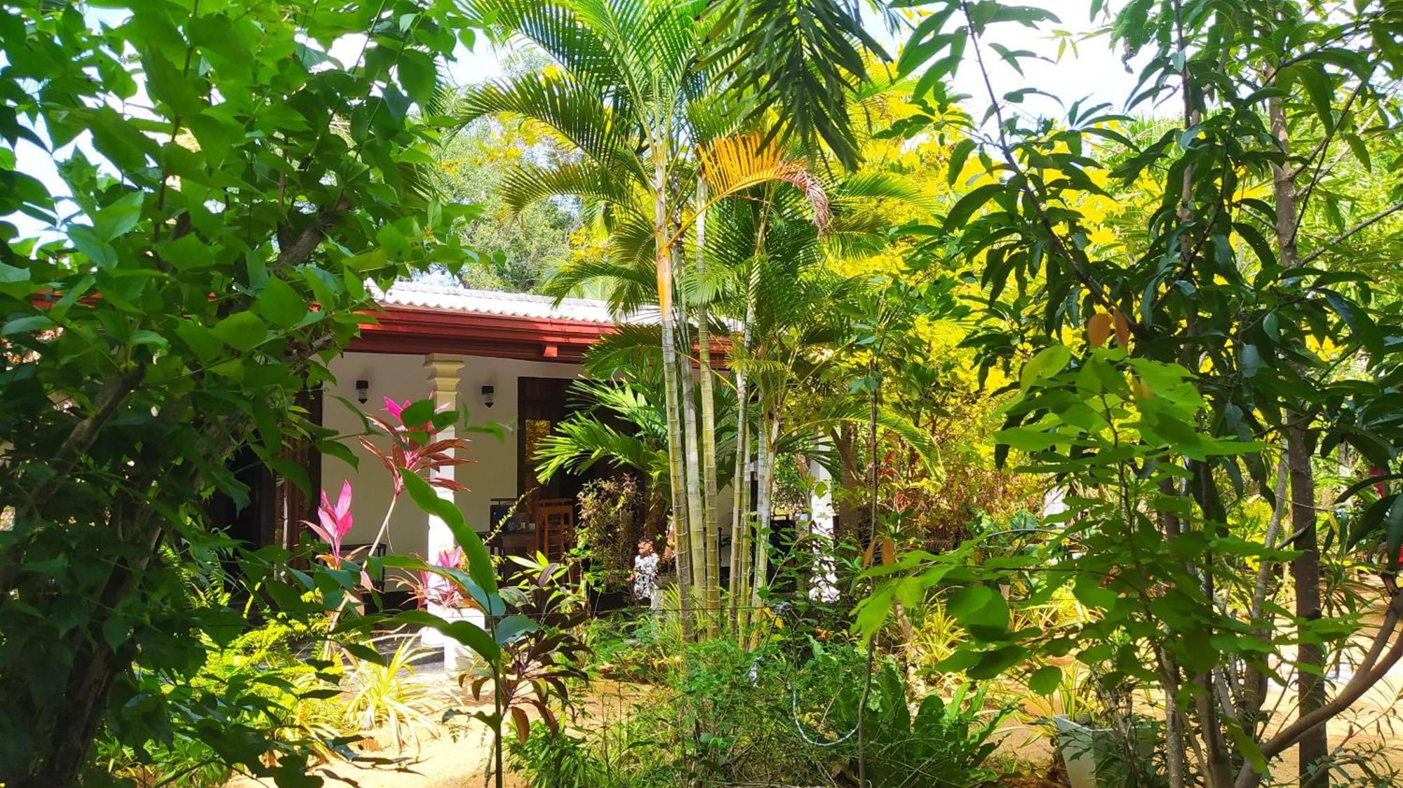 Yashi'S Place סיגירייה מראה חיצוני תמונה