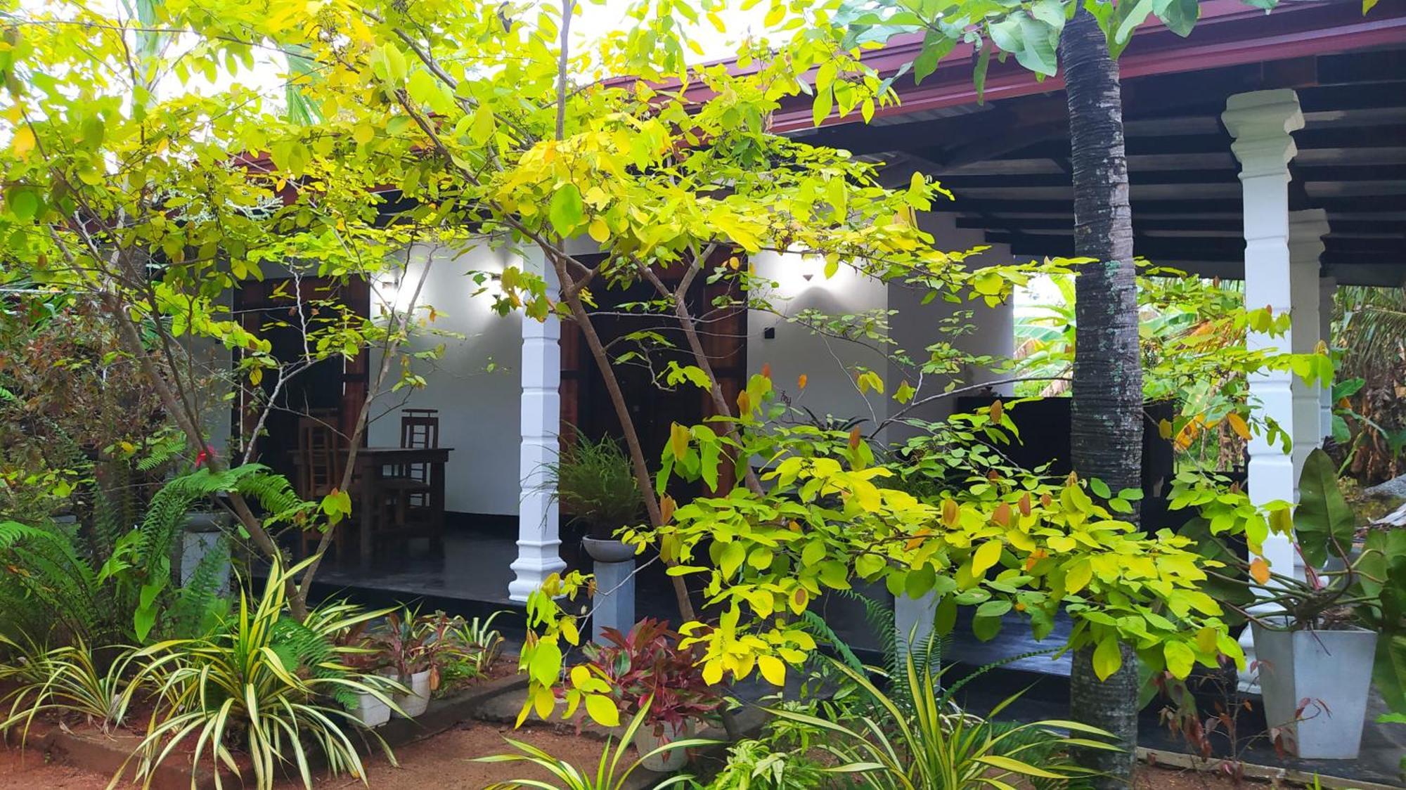 Yashi'S Place סיגירייה מראה חיצוני תמונה