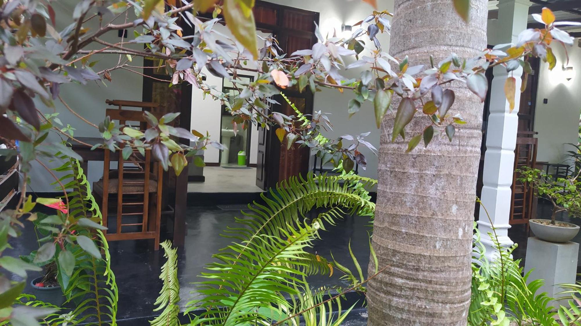 Yashi'S Place סיגירייה מראה חיצוני תמונה