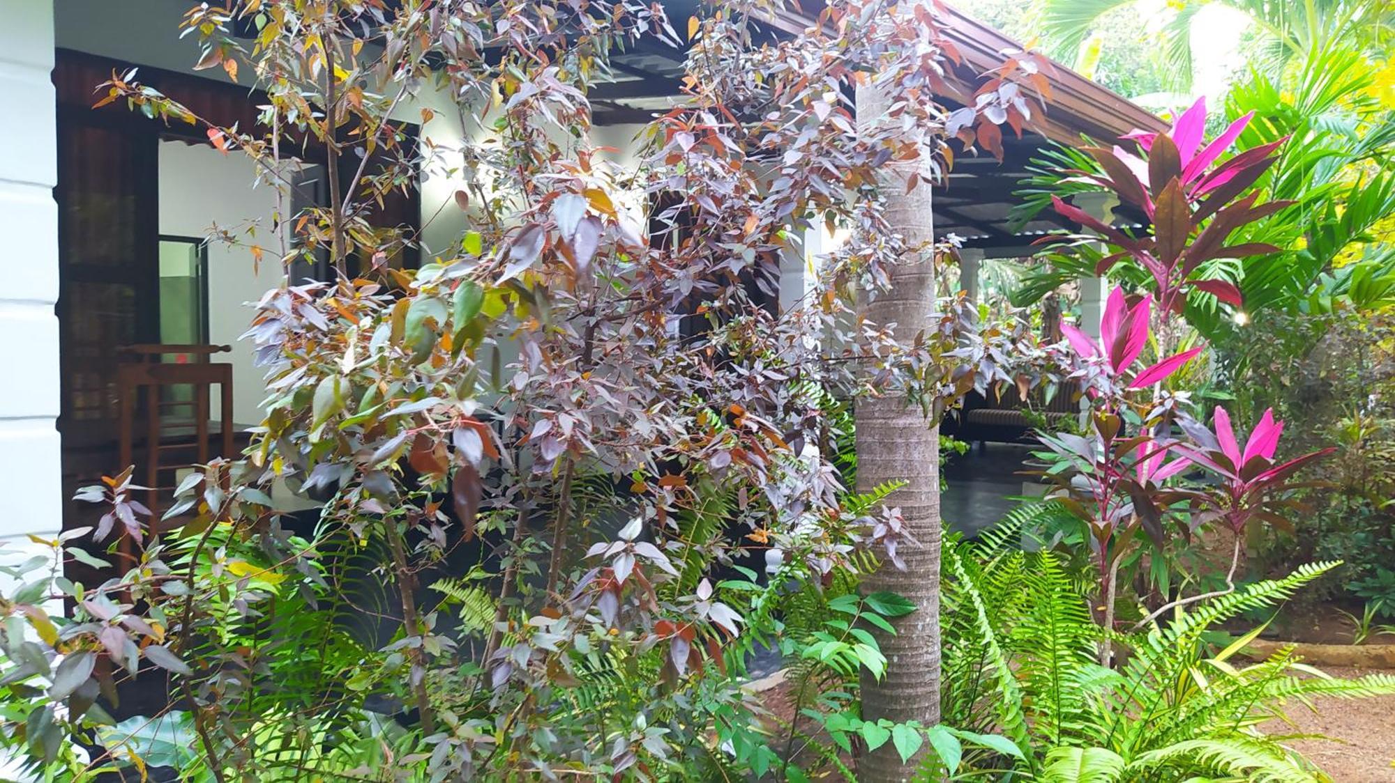 Yashi'S Place סיגירייה מראה חיצוני תמונה